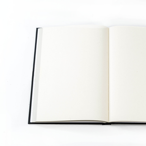 Gilles Caron large notebook, Johnny Hallyday